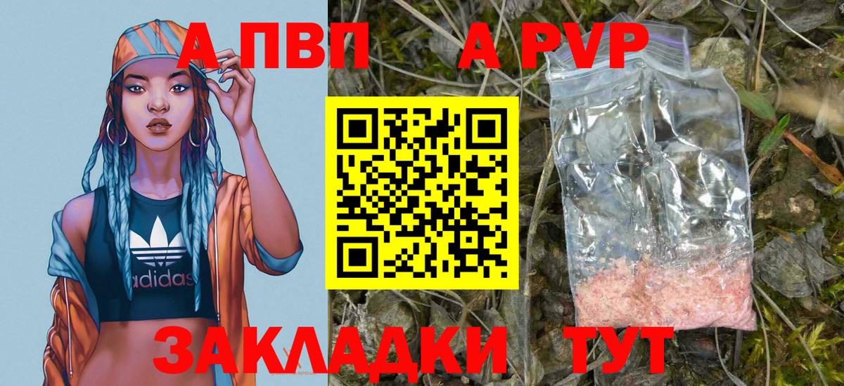 Альфа ПВП СК Беслан