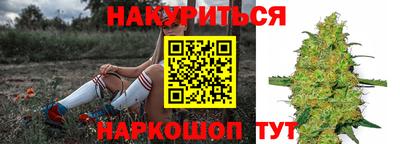 сатива Можайск