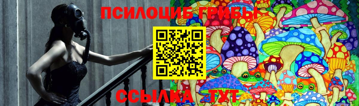 Псилоцибиновые грибы MAGIC MUSHROOMS  Вход с VPN  Псилоцибиновые грибы GOLDEN TEACHER  Беслан 